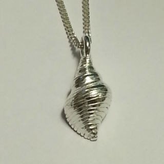 Fine silver shell pendant on sterling silver curb chain